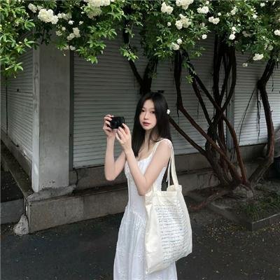 大盗明星梦